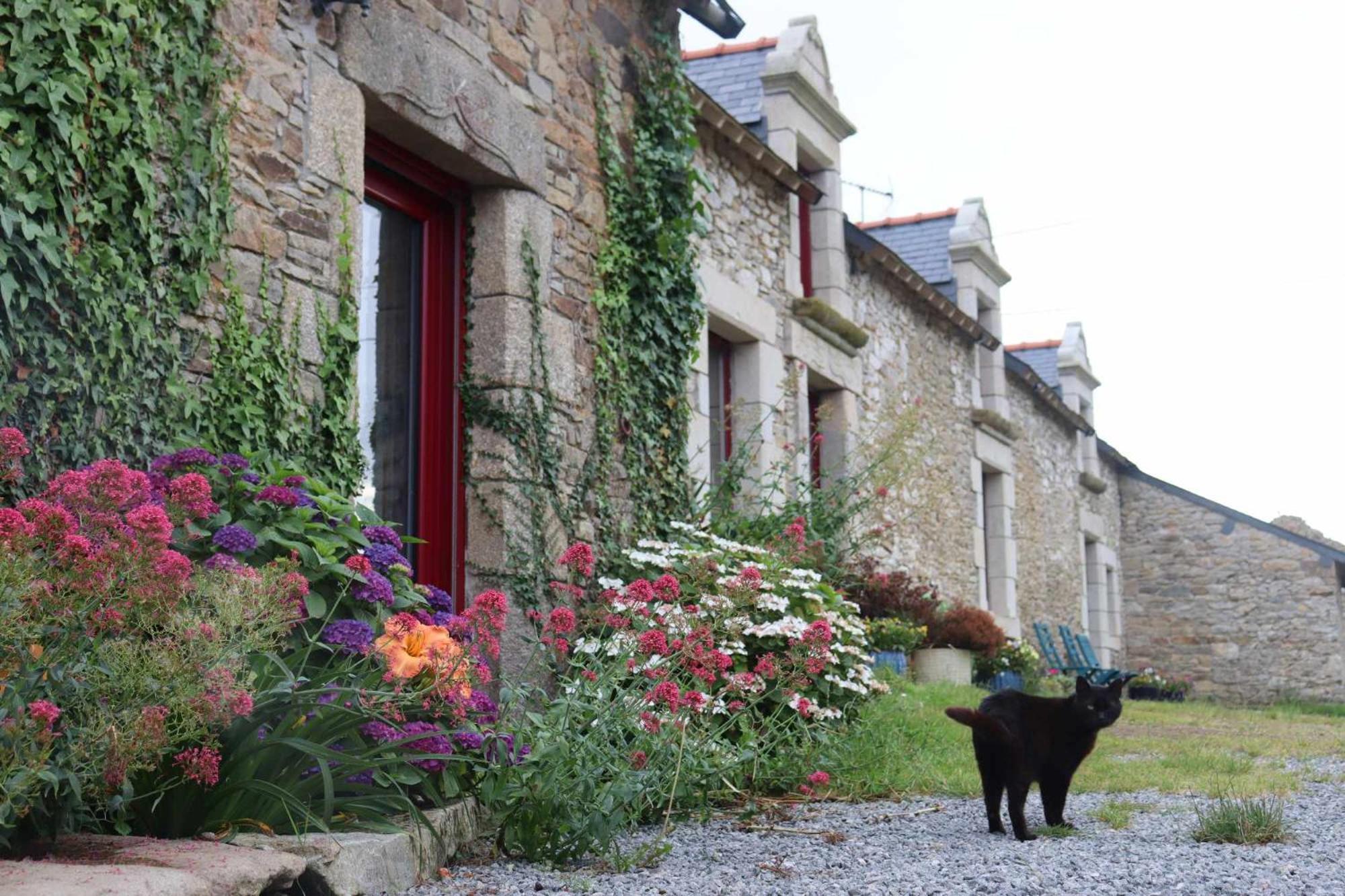 La Petite Berais Bed & Breakfast Missillac Eksteriør bilde